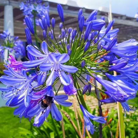 Blue Marine Pozzallo